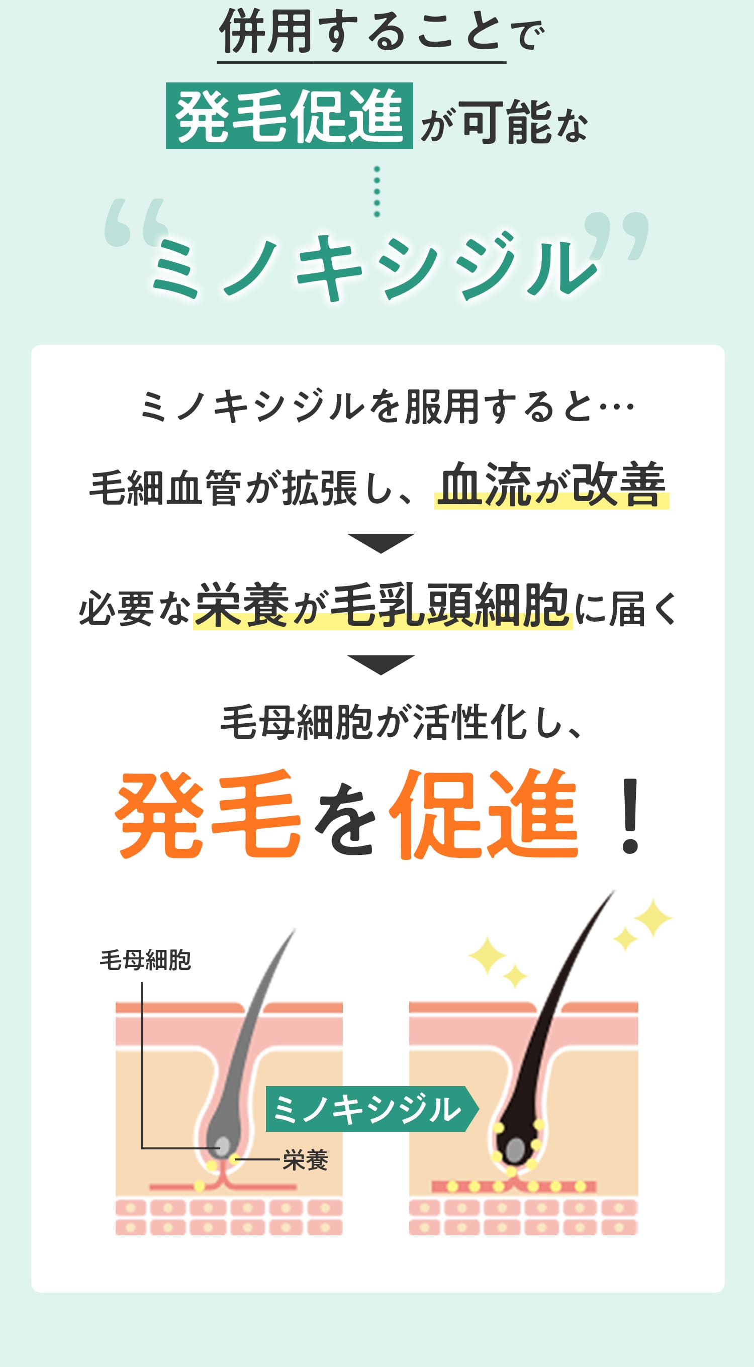 ミノキシジル